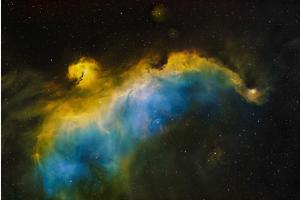 Seagull Nebula (IC 2177) Seagull Nebula (IC 2177)