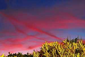Seltene Strukturen