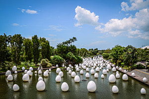 Singapur eggs