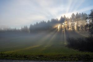 Sonnenaufgang im Nebel Sonnenaufgang im Nebel