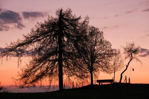 Sonnenuntergang Homberg Sonnenuntergang Homberg