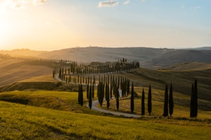 Sonnenuntergang x Agriturismo Baccoleno = Toskana Sonnenuntergang x Agriturismo Baccoleno = Toskana