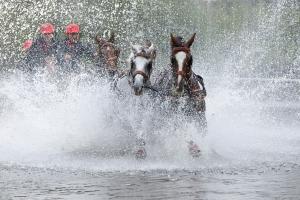 SplishSplash SplishSplash