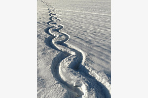 Spuren im Schnee