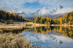 Stazersee_MM16_6803