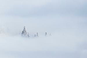 Stille Stille