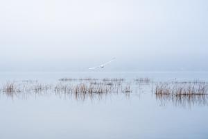 Stiller Flug Stiller Flug