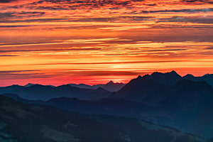 Sunrice Sunrice