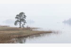 Morgendliche Stille Morgendliche Stille