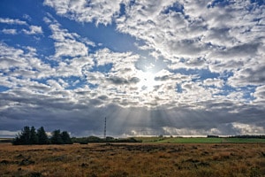 Sylt