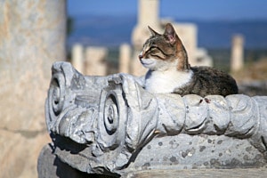 keeper of the ancient ruins
