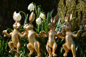 The golden rabbits