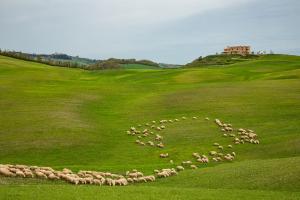 Toscana_MM19_1346 Toscana_MM19_1346