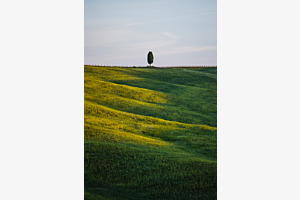 Minimalismus