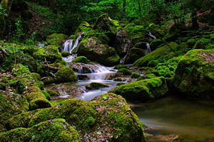 Twannbachschlucht 1