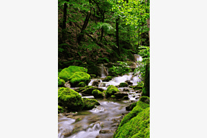 Twannbachschlucht 2