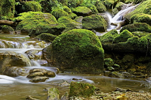 Twannbachschlucht