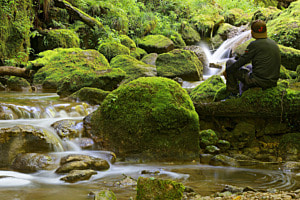 In der Natur Kraft schöpfen