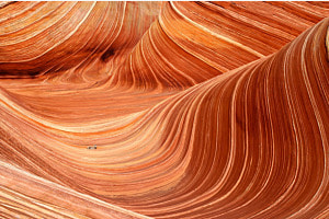 The Wave - Sandsteinformation in der Vermillion Cliffs Wilderness, Arizona