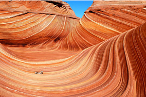 The Wave
