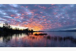 Sonnenuntergang am Murtensee Sonnenuntergang am Murtensee