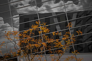 Urbaner Durchblick Urbaner Durchblick