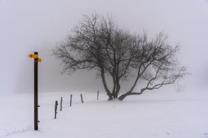 Verloren im Nebel Verloren im Nebel