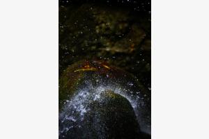 Schönheit des Wassers Schönheit des Wassers