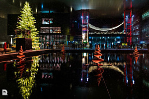 Farbenpracht beim KKL Luzern