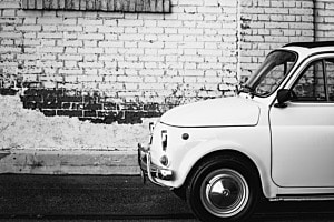 Il piccolo blanco (der kleine weisse) Il piccolo blanco (der kleine weisse)