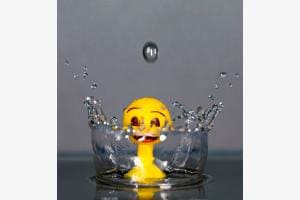 Wet-Smily Wet-Smily