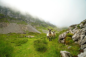 Bergidylle