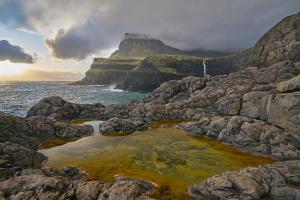 Wilde Natur Wilde Natur