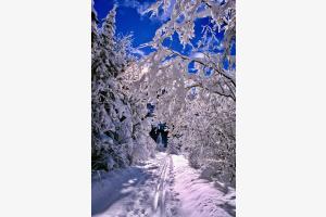 Winterwanderweg & Loipe, Kandersteg BEO