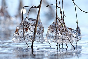 Eisskulptur Eisskulptur