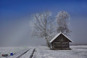 Winterharmonie