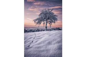 Winterland Winterland