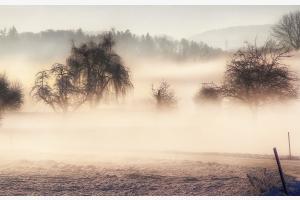 Winternebel