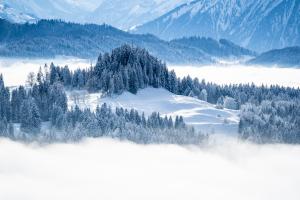 Emmental