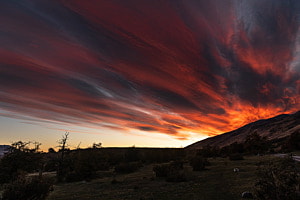 Morgenrot