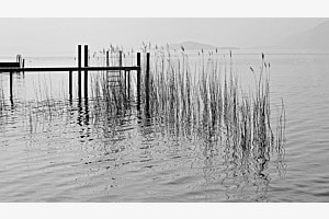 Am Bielersee