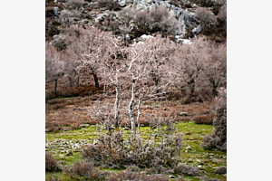 Aus der Nida-Hochebene"-Serie - Kreta