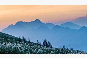 Morgenstimmung auf den Niederhorn Morgenstimmung auf den Niederhorn