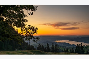 Cholebärgli mit Blick über den Thunersee