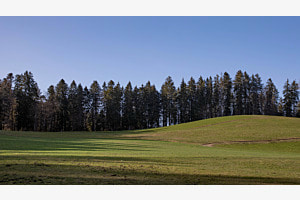 Stille