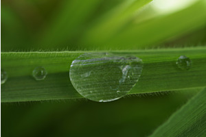 Bokeh