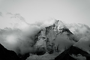 dent blanche