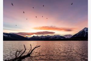 Sonnenaufgang über dem Berner Oberland