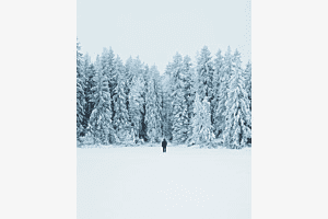 Freeze the moment Freeze the moment