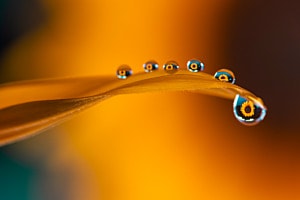 Drops